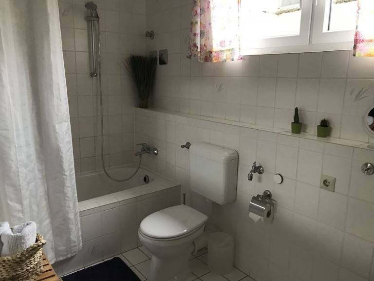 foto19
