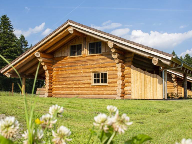 Vacation home with BBQ, garden & terrace | Garden view — photo 4