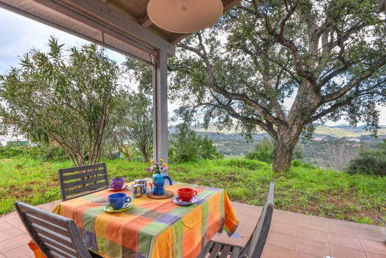 Villa with yard & BBQ in Capoliveri