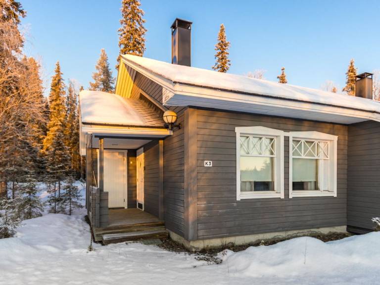 Ferienhaus  Yllästunturi