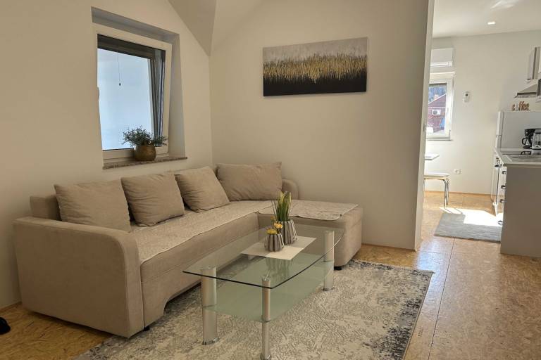 Rental apartment with 1 room for 4 persons — photo 2
