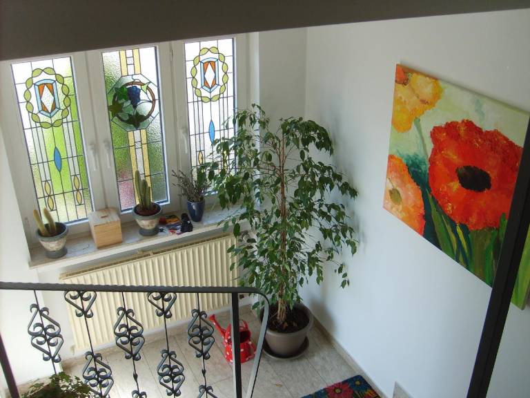 foto13