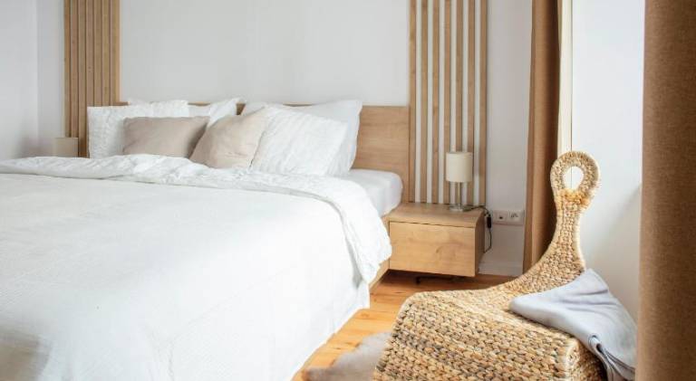 Apartment | Next to Bratislava Castle | Dogs allowed in Bratislava