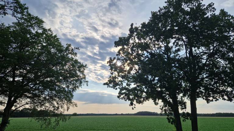 Ferienwohnung  Haselünne