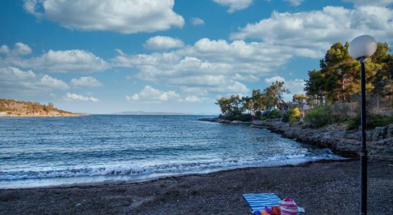 House | Dogs allowed in Volos