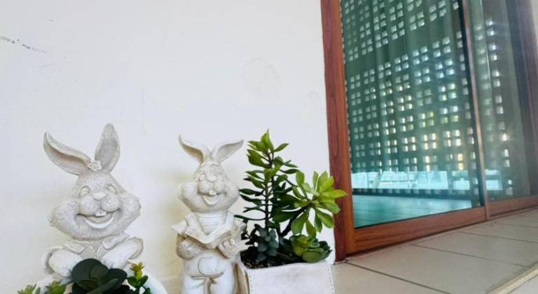 foto7