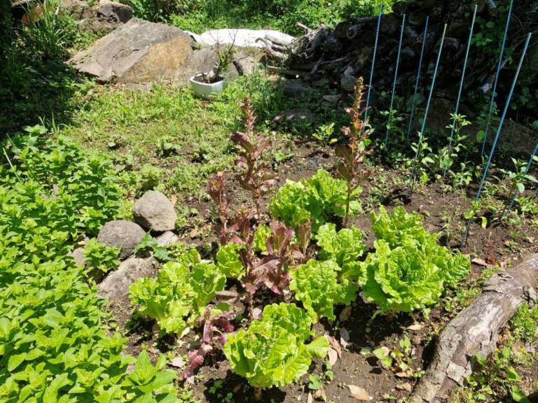 foto35