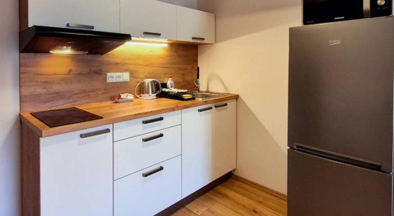 City Center Apartments - Moderna Brno Rimske namesti I — photo 3