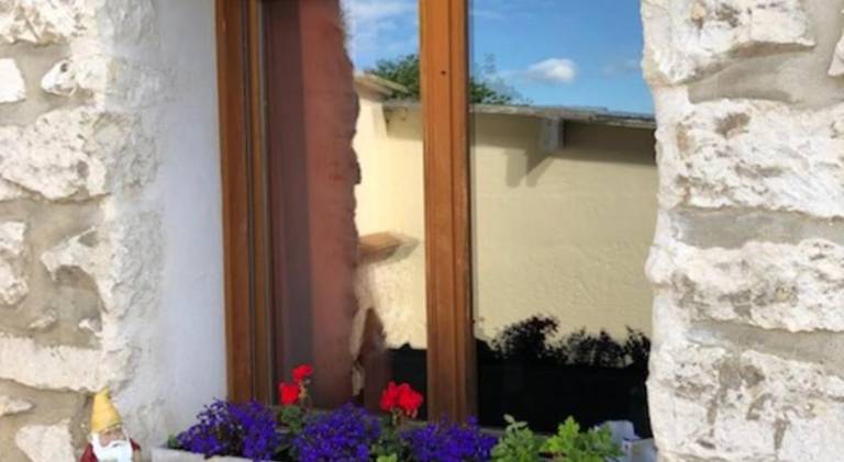 foto24