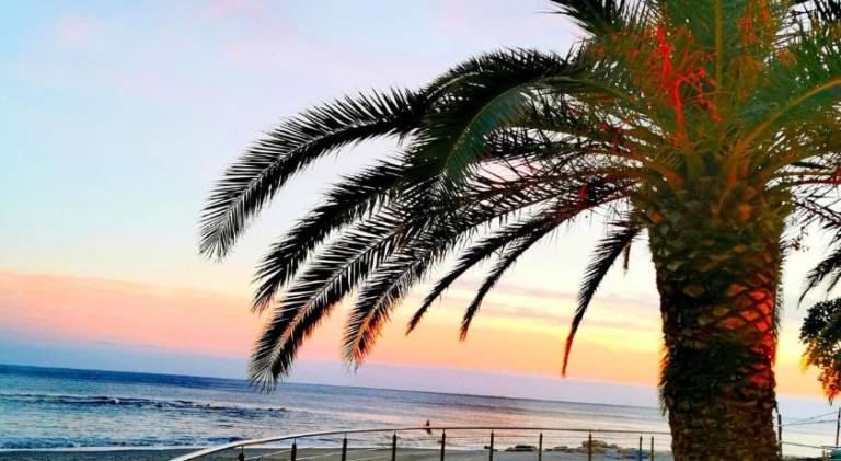 Rental apartment | Next to the beach | Pets are welcome — photo 3