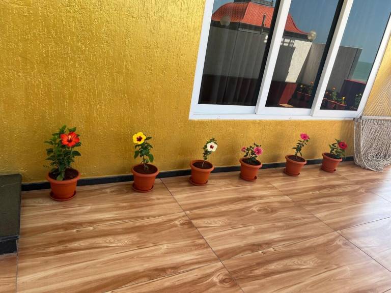 foto43