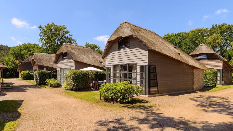 Villa  Camperduin