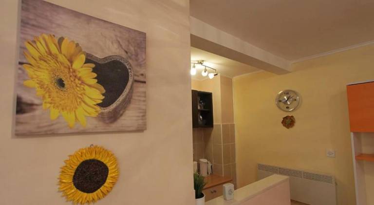 Lovely apartment | Dogs allowed — photo 4