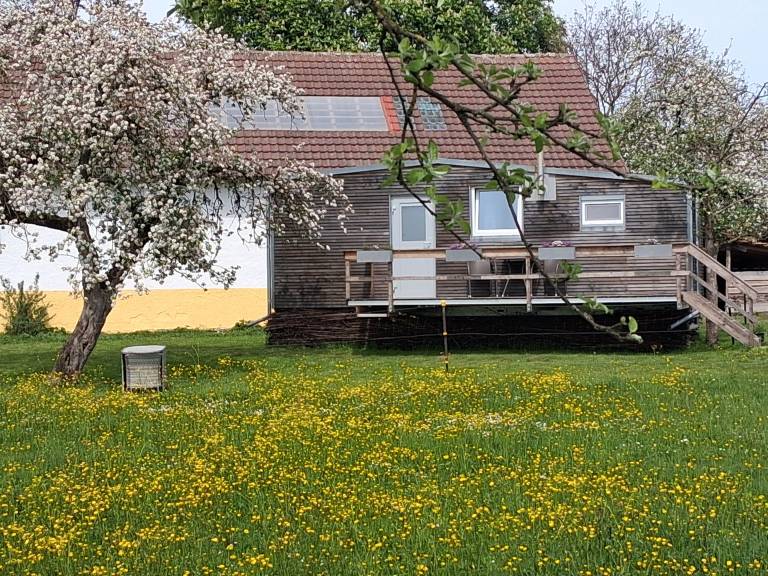 foto21