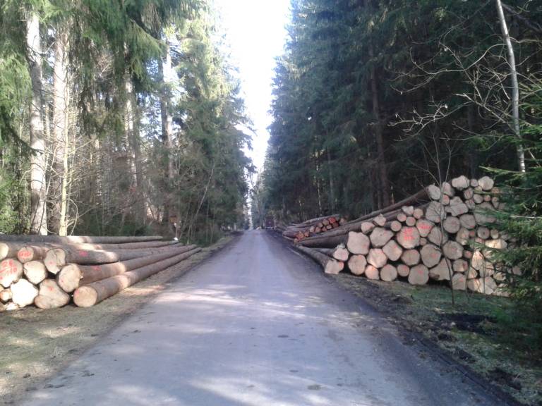 foto15