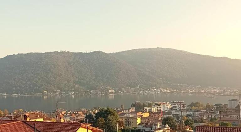 Charming apartment | Pets are welcome in Paratico