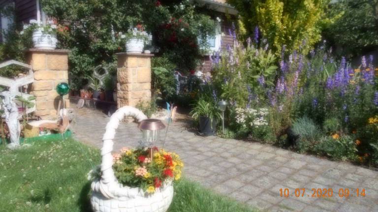 foto11