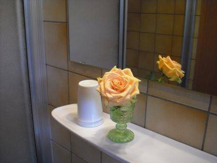 foto25