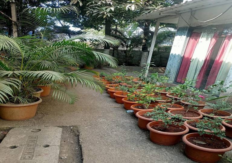 foto36