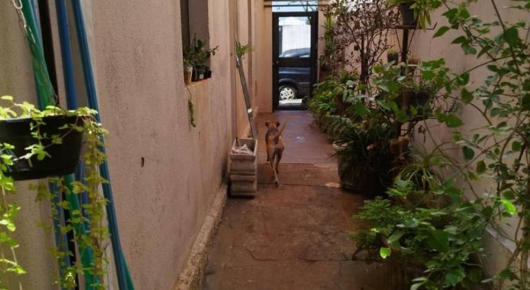 foto43
