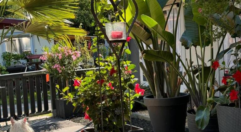 foto17
