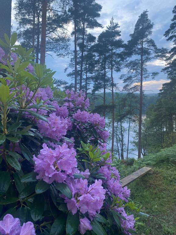 foto26