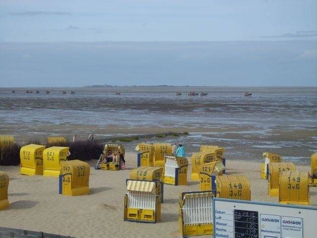 foto6