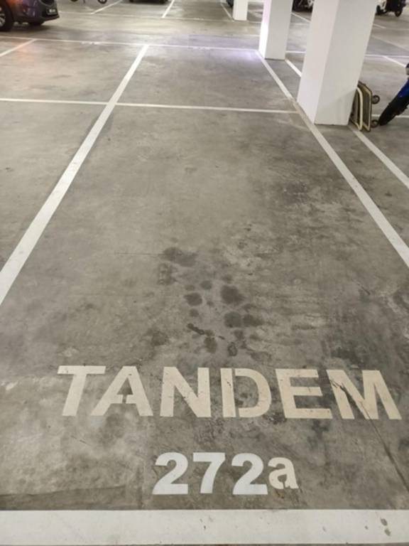 foto47
