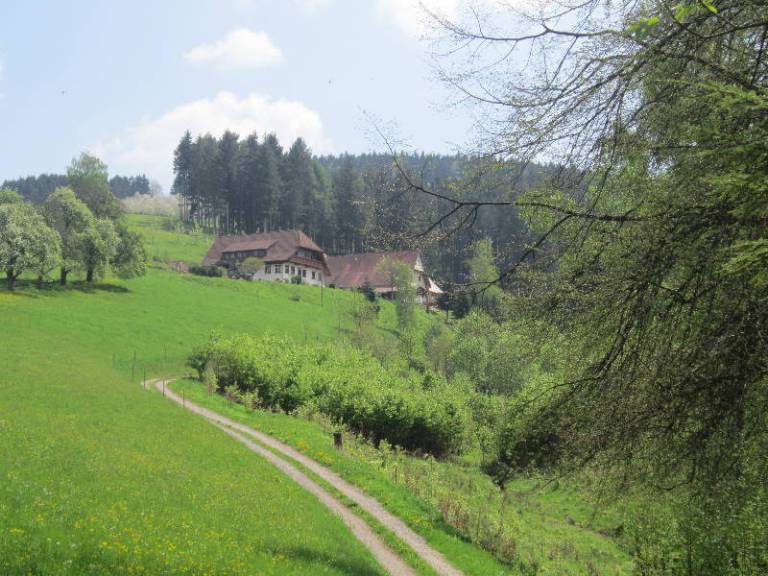 foto14