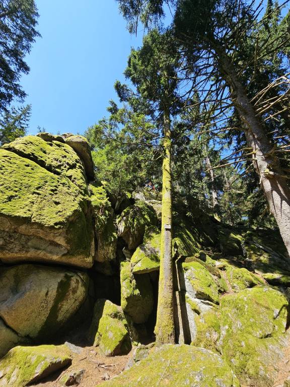 foto41