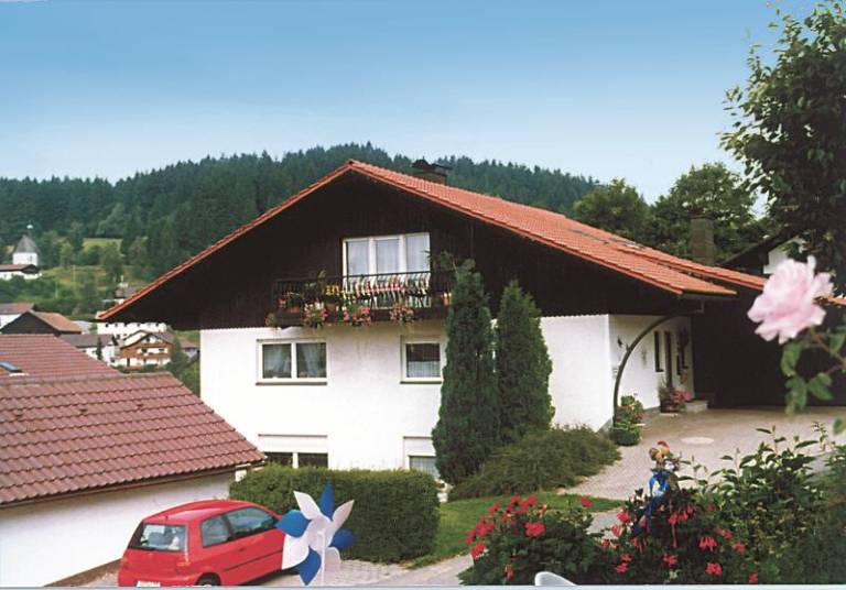 foto6