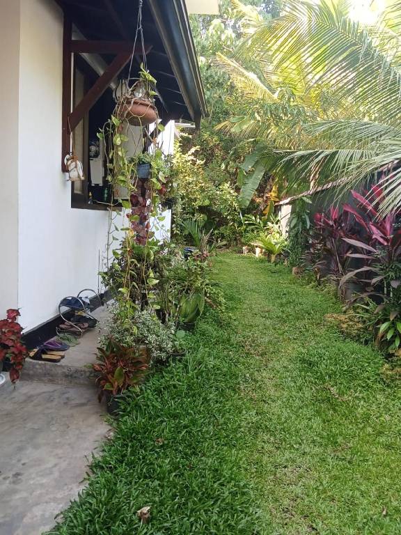 House with patio & yard — photo 3