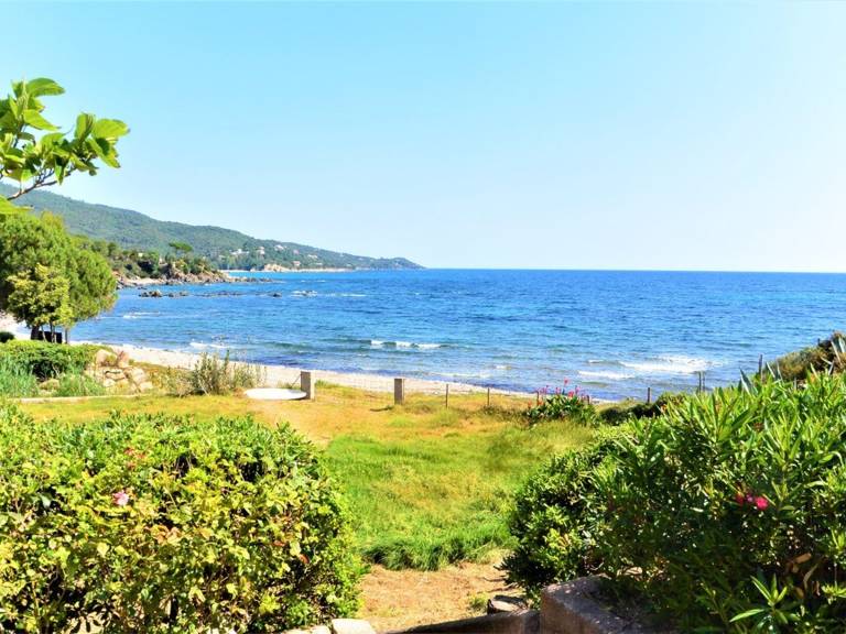 Beachfront Mini-Villa, air-conditioned - Direct sea access - 4 pers — photo 3