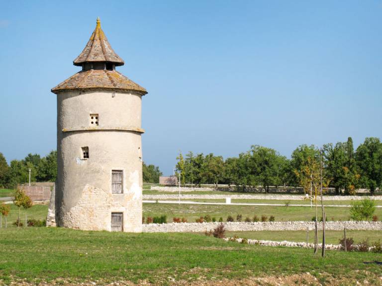 foto18