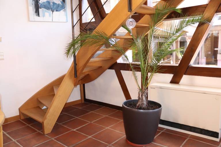 Maison de vacances Molsheim