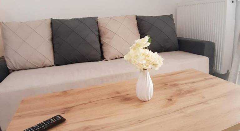 Apartment Mamaia-Sat