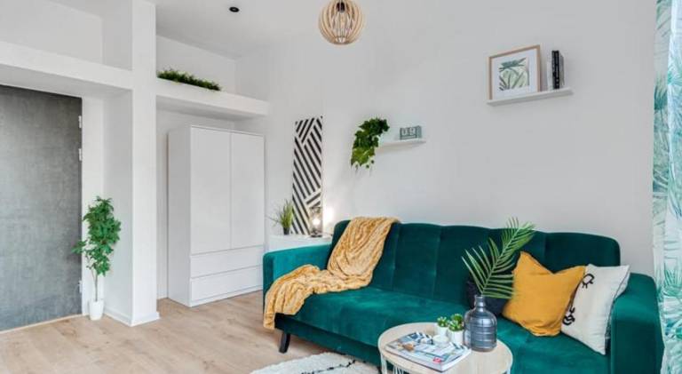 Beautiful rental apartment | Pets are welcome in Opole