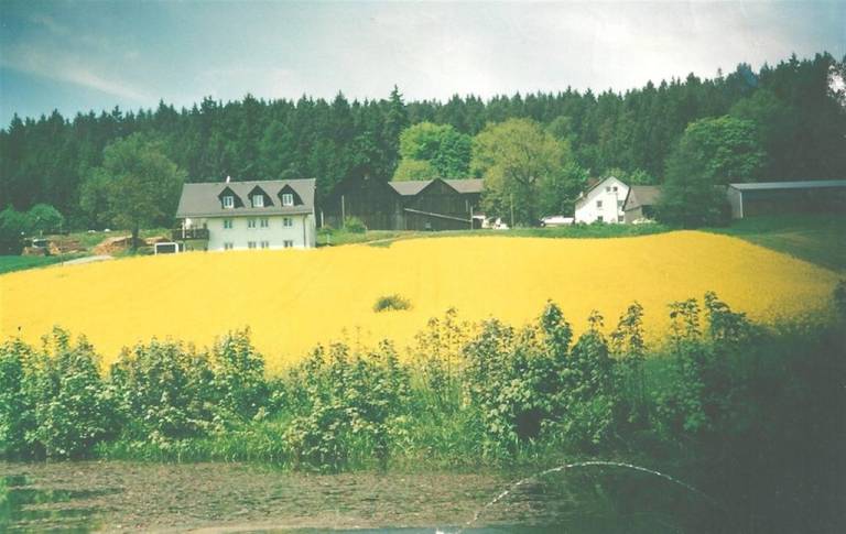 foto9