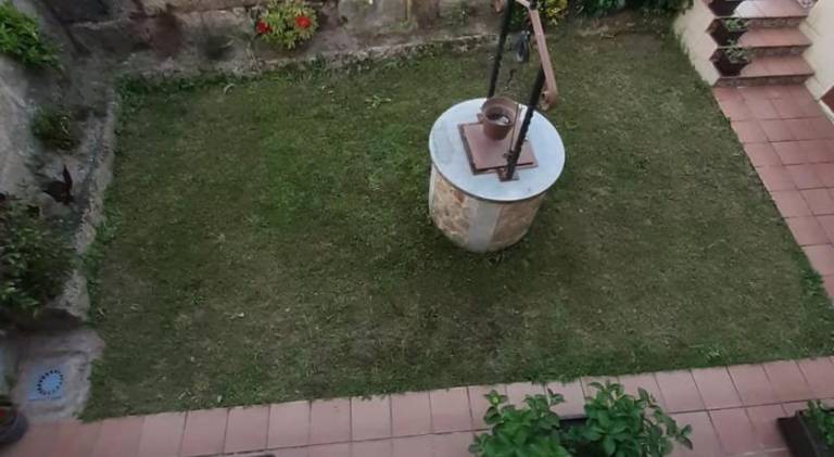 foto19