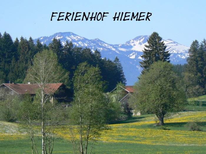 foto11