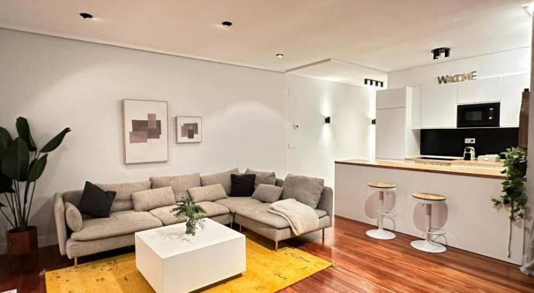 Fully equipped holiday apartment | Next to Guggenheim Museum Bilbao | Good for workation | Dogs allowed in Bilbao