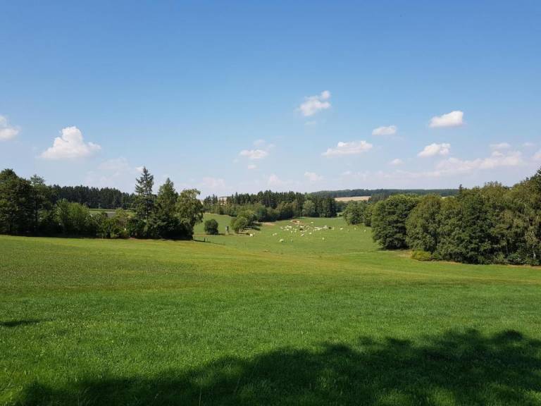 foto16