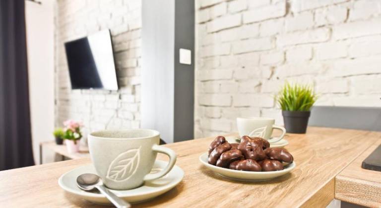 Lovely rental apartment | Pets allowed in Torun