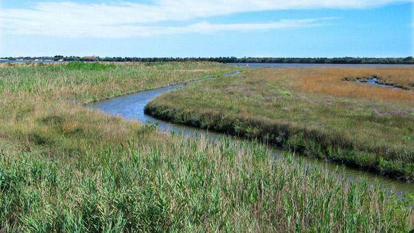 Ferienwohnung in Mira, Sambruson f&uuml;r max. 2 Personen