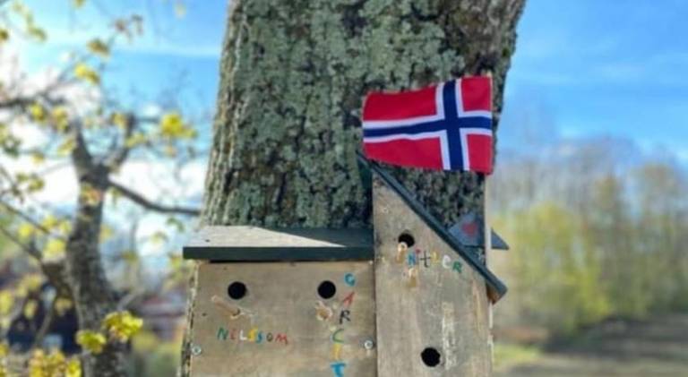 Apartment | Pets are welcome in Asker