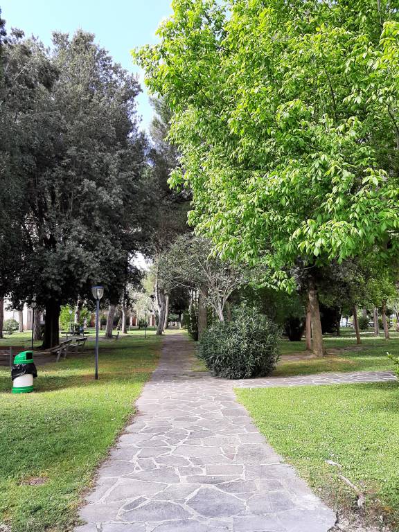 foto10