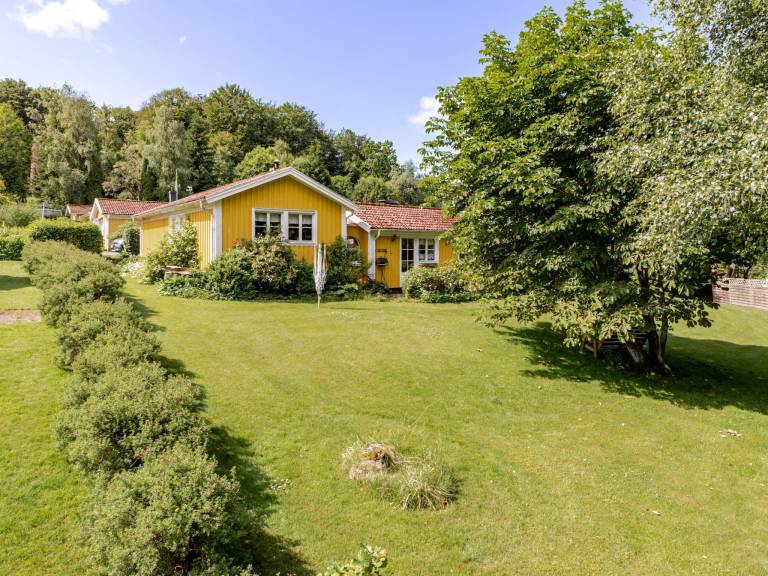 foto21