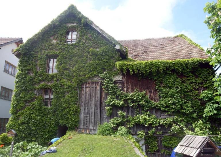 Ferienhaus Sevelen