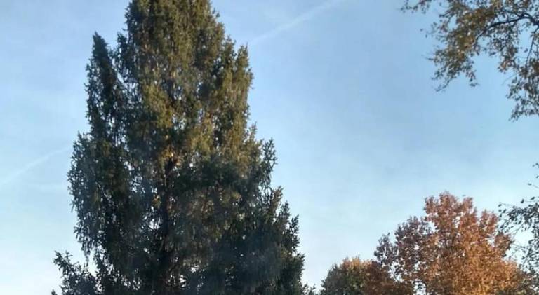 foto6
