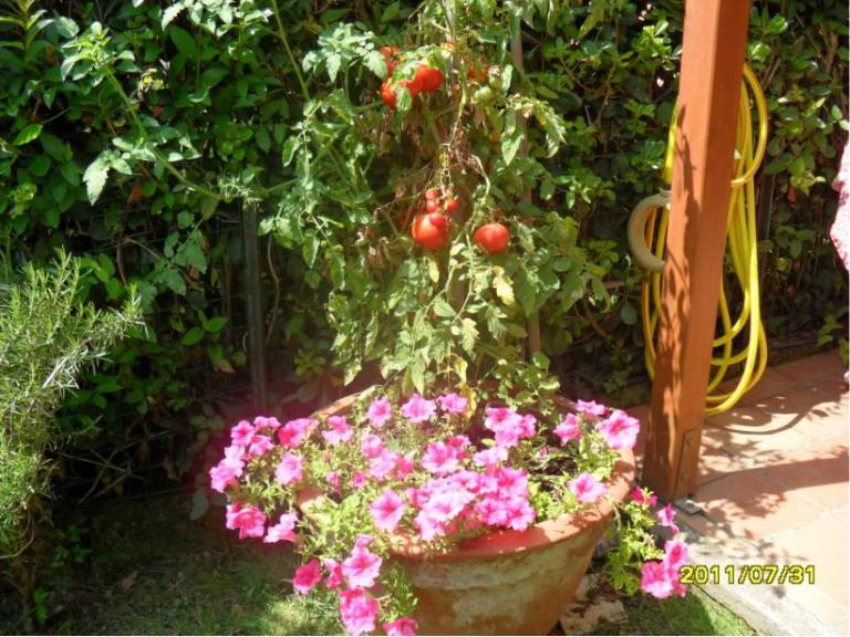 foto15